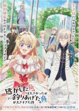 星轨回响 tv 动画封面